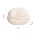 Pet Ashes Urn Box for Cats and Dogs – Memorial Keepsake