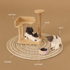 Kitten Playing Scene Figurine
