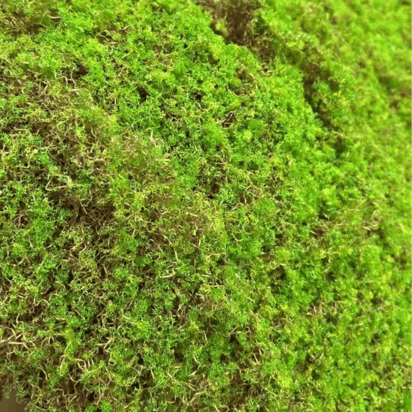 Artificial Moss Turf