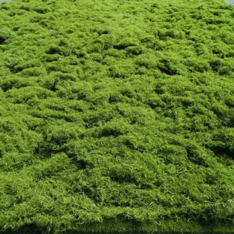 Artificial Moss Turf