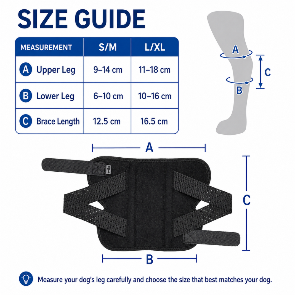 Dog Knee Brace for Senior Dogs with Metal Splints