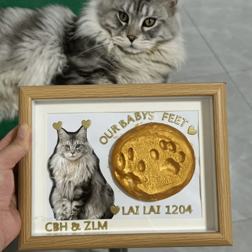 Cat & Dog Paw Print Keepsake Frame – Pet Paw Impression Memorial Photo Frame
