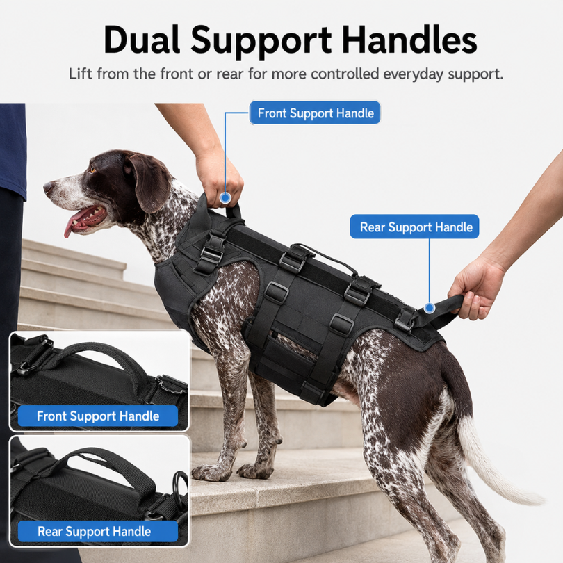 Full Body Dog Lifting Harness for Stairs & Daily Mobility