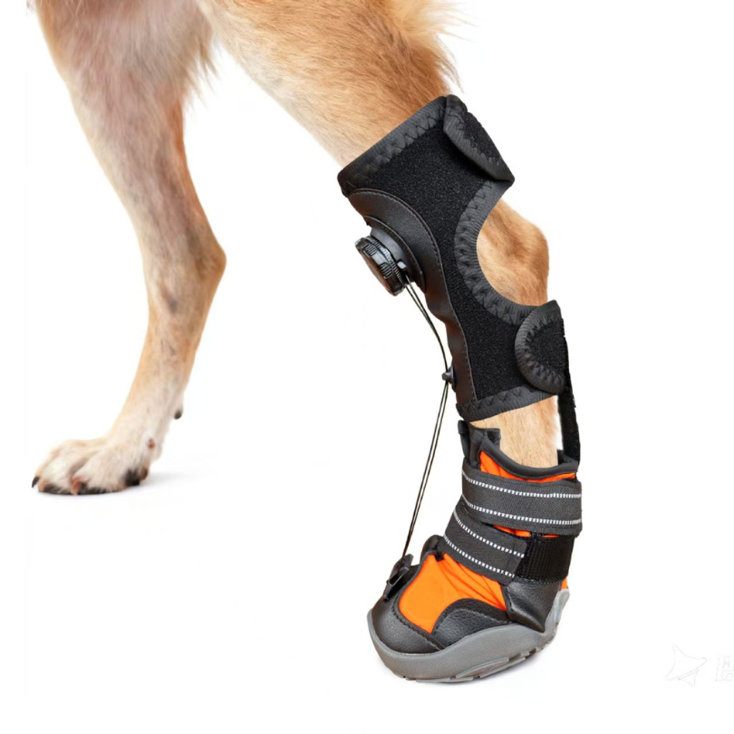 Dog Anti-Knuckling Support Boot