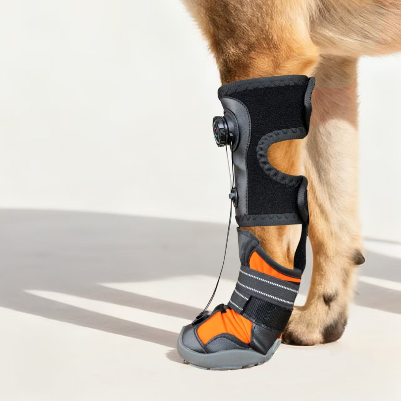 Dog Anti-Knuckling Support Boot