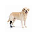 Dog Anti-Knuckling Support Boot