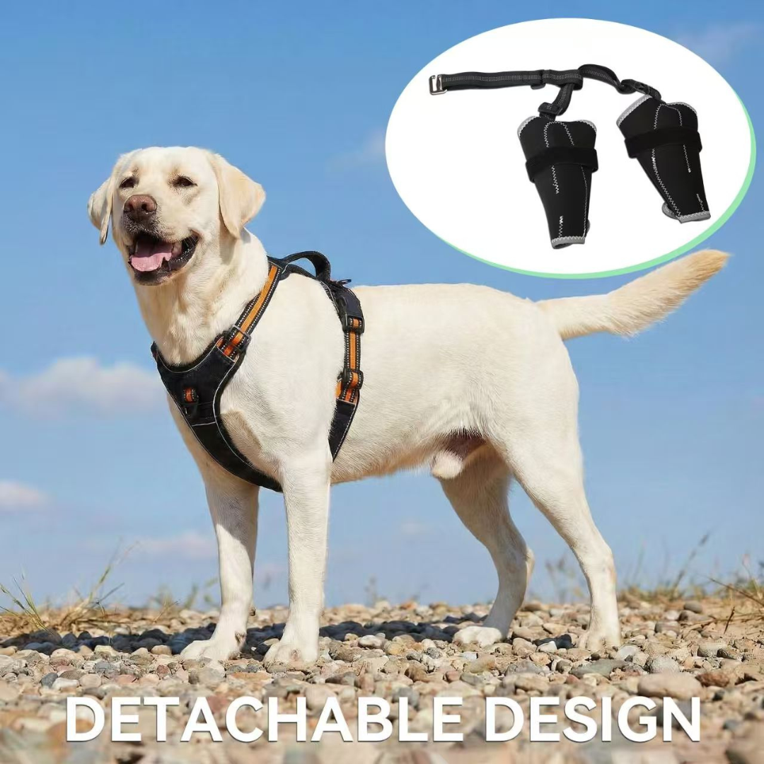 Rear Leg Support Brace for Dogs