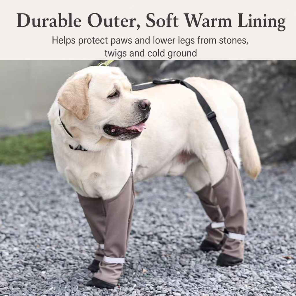 Waterproof Dog Boots with Textured Sole
