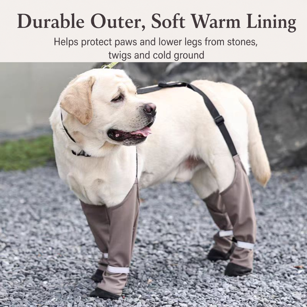 Waterproof Dog Boots with Textured Sole