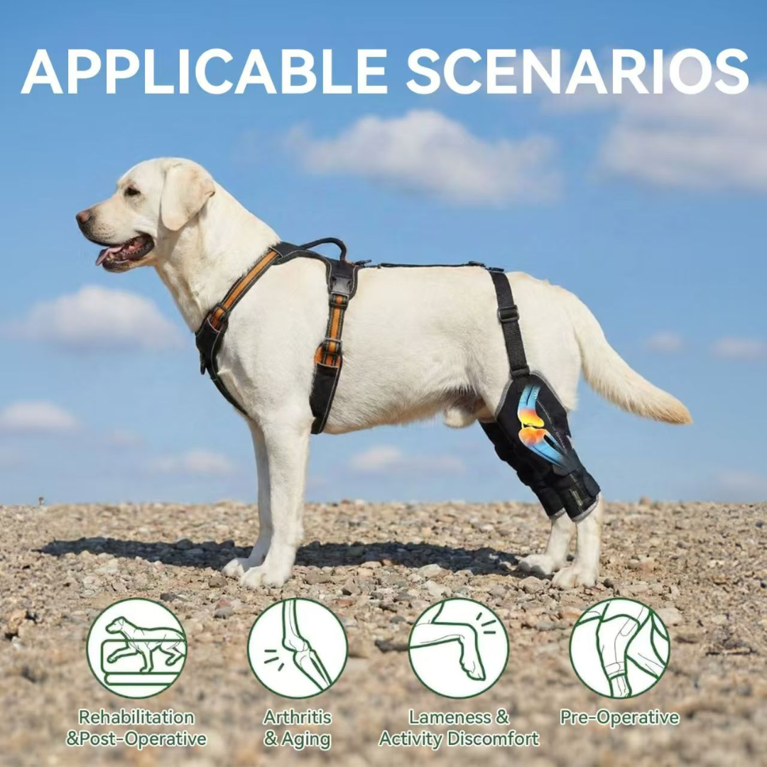 Rear Leg Support Brace for Dogs