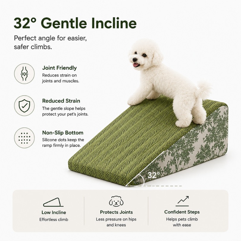 Gentle Slope Dog Ramp for Dachshunds & Senior Dogs
