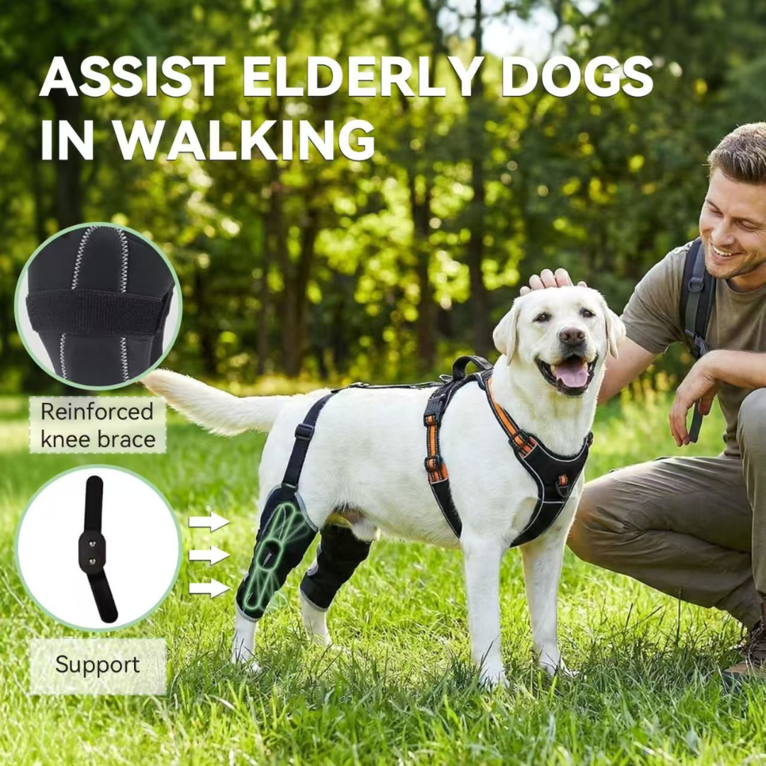 Rear Leg Support Brace for Dogs