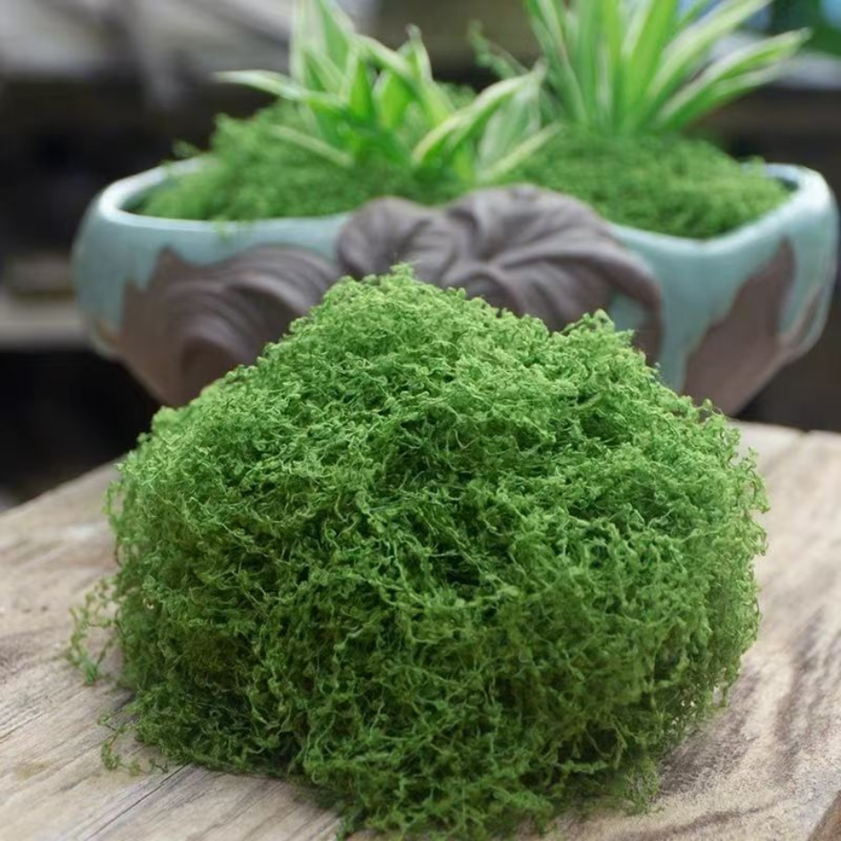 Yarn Artificial Moss for Indoor Decor – Faux Moss Landscaping Decoration