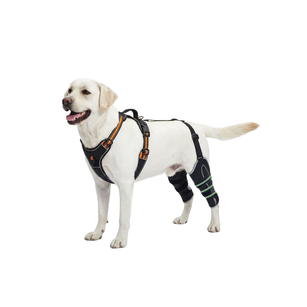 Rear Leg Support Brace for Dogs