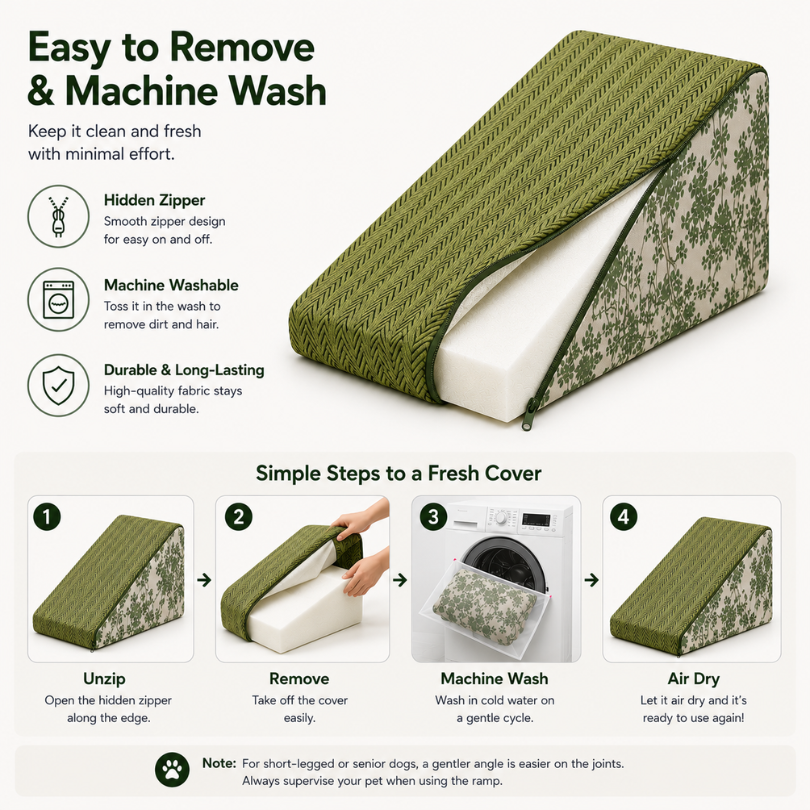 Gentle Slope Dog Ramp for Dachshunds & Senior Dogs