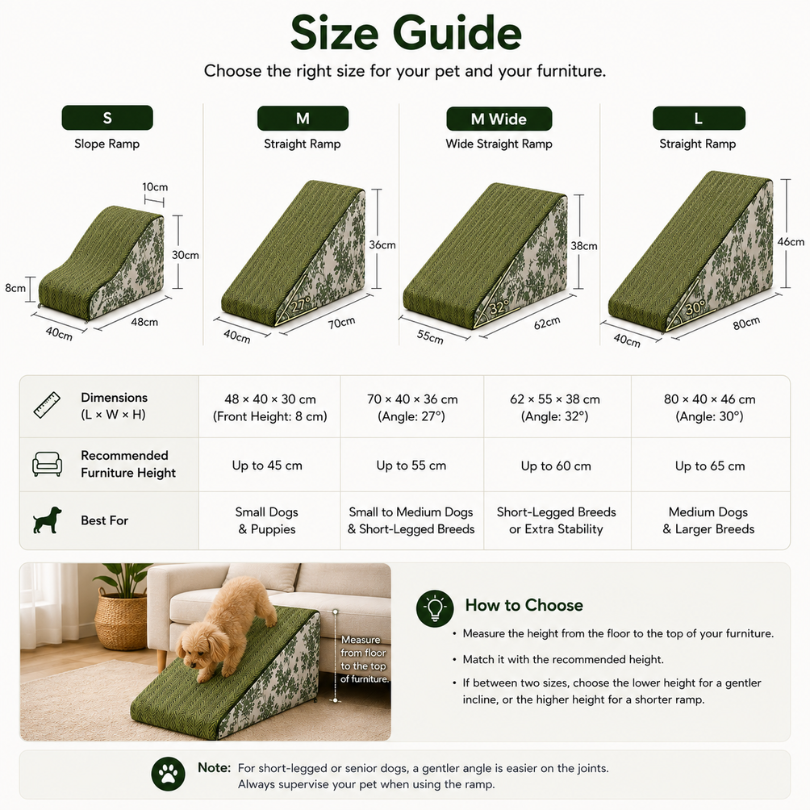 Gentle Slope Dog Ramp for Dachshunds & Senior Dogs