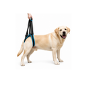 Rear Lift Harness for Dogs