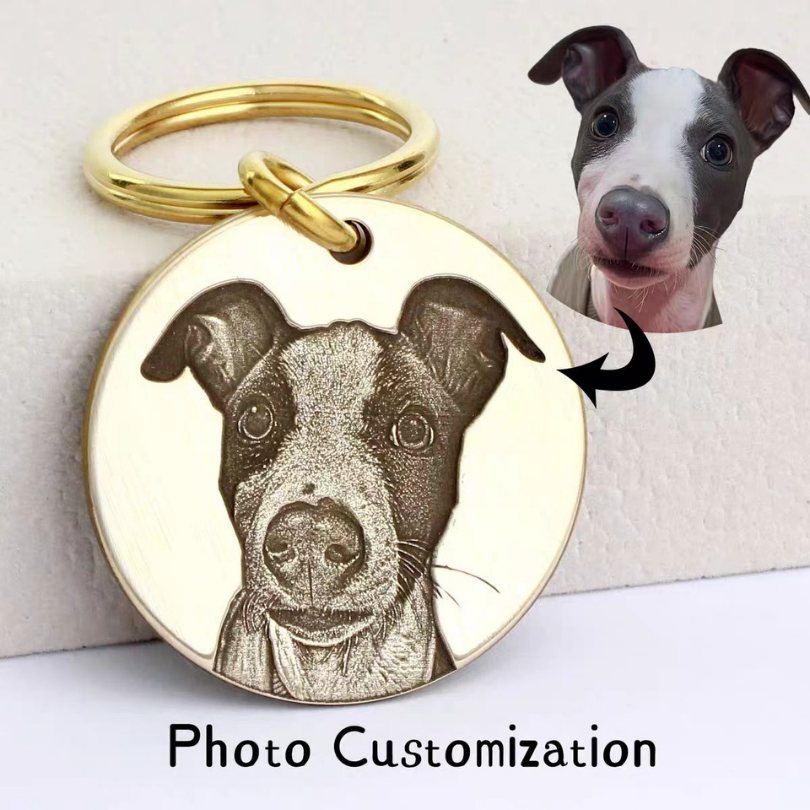 Deep-Engraved Solid Brass Pet ID Tag Customization