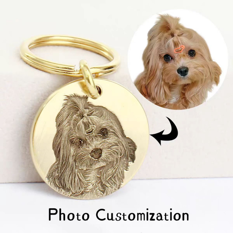 Deep-Engraved Solid Brass Pet ID Tag Customization