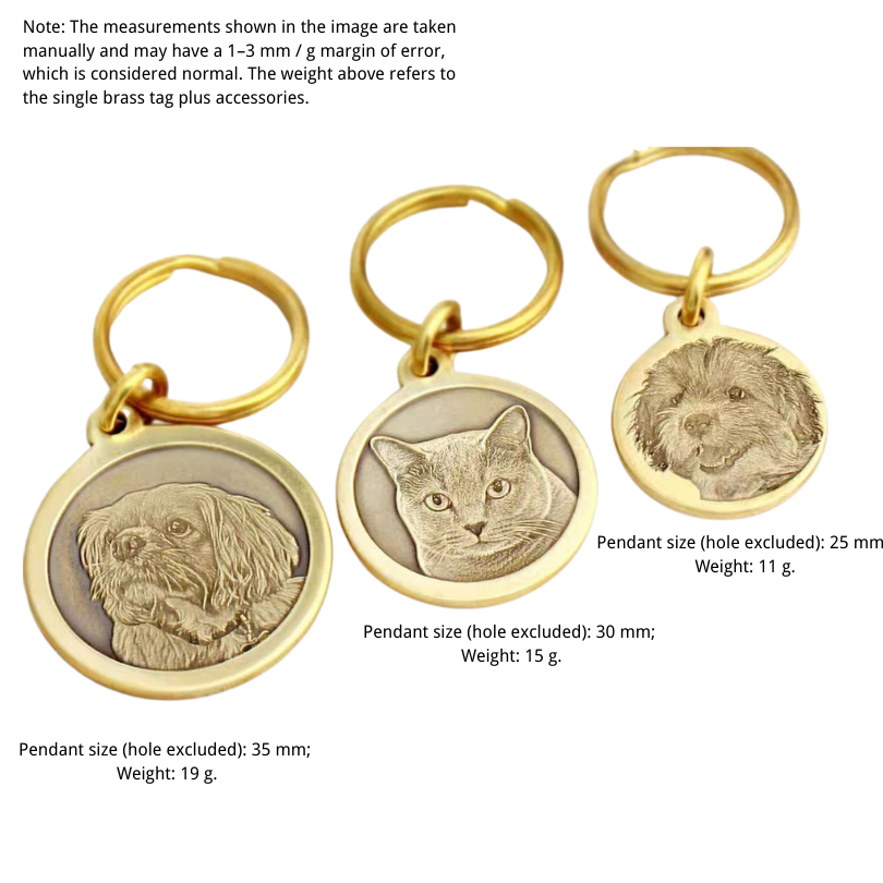 Deep-Engraved Solid Brass Pet ID Tag Customization