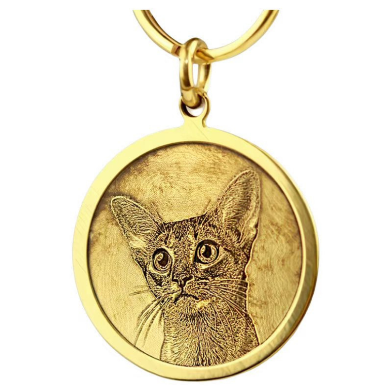 Deep-Engraved Solid Brass Pet ID Tag Customization