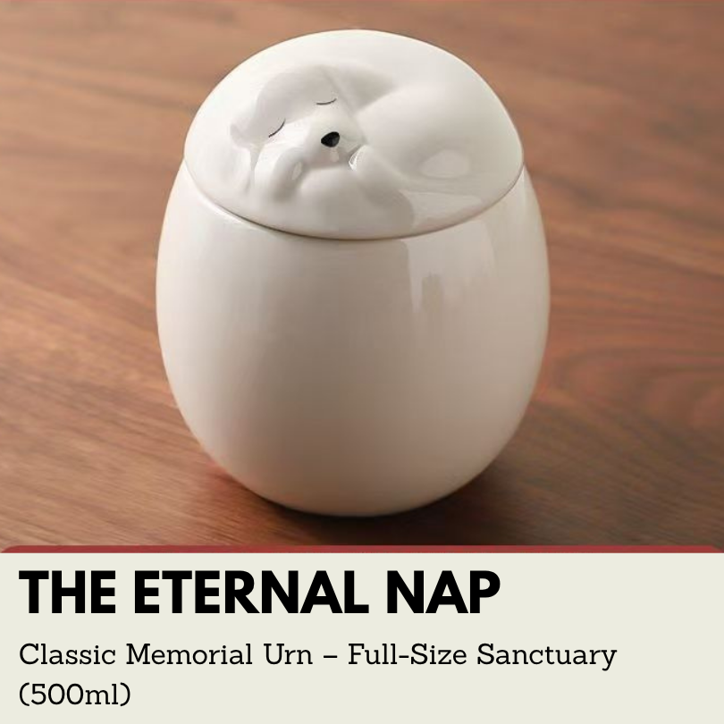 The Eternal Nap | Classic Cat Memorial Urn – Full-Size Sanctuary (500ml)