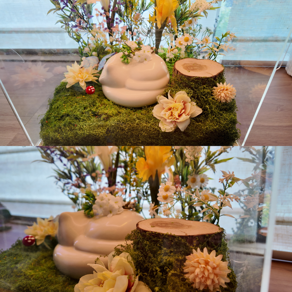 Still Garden