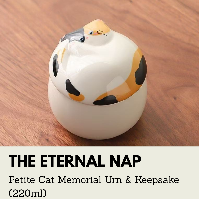 The Eternal Nap | Petite Cat Memorial Urn & Keepsake (220ml)