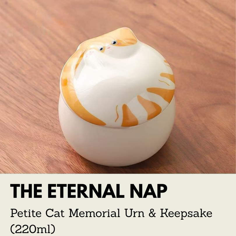 The Eternal Nap | Petite Cat Memorial Urn & Keepsake (220ml)