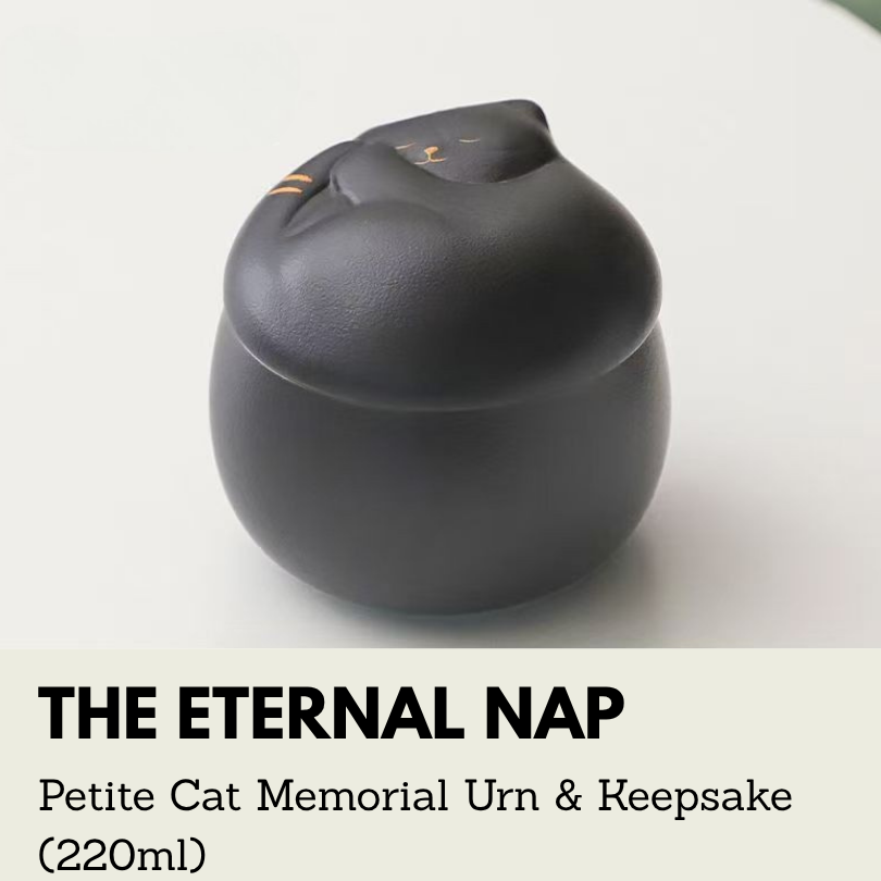 The Eternal Nap | Petite Cat Memorial Urn & Keepsake (220ml)