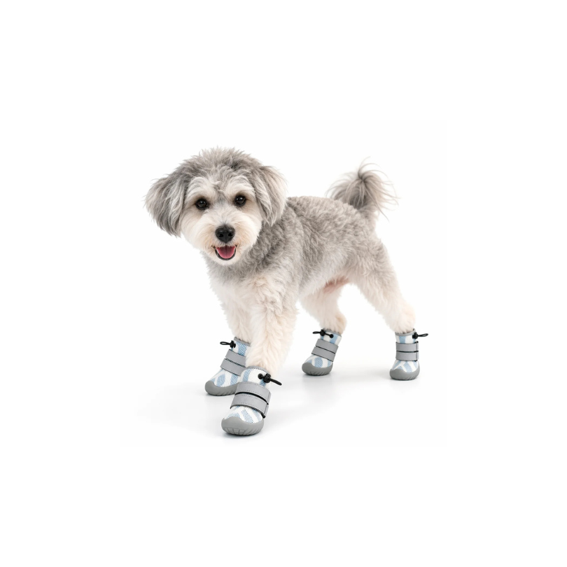 Breathable Summer Dog Shoes for Small Dogs